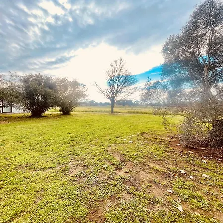 아파트 Chez Babou D'artistes Avec Piscine, Parking *